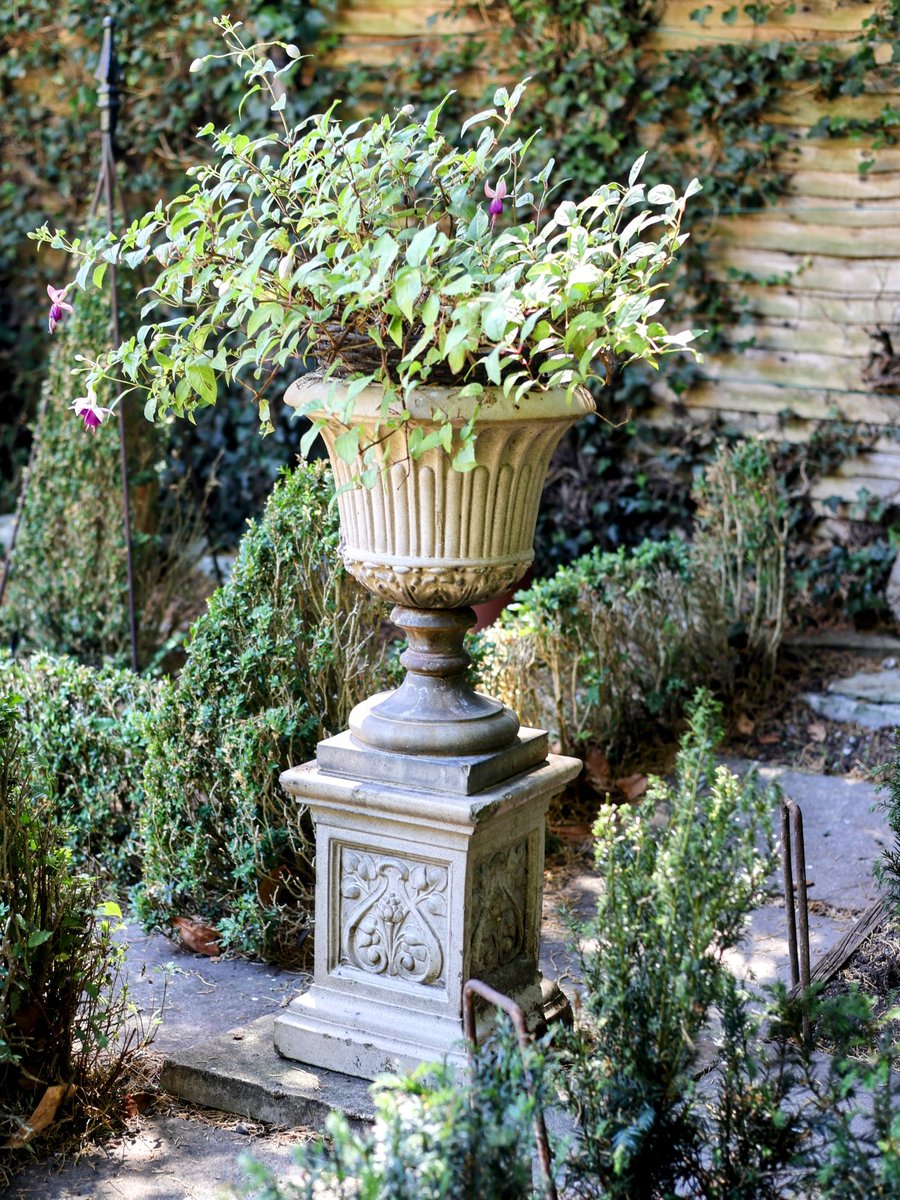 On 12th July, 25 of our members had a wonderful afternoon at Woodlands House Garden. It's part of the NGS  and open by appointment only, so we had the chance to enjoy a peaceful and relaxed visit. We enjoyed a delightful tea under some shade on one of the hottest days of the year