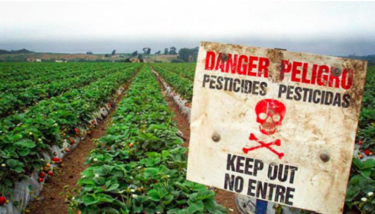 Every spring, the Dirty Dozen list resurfaces like clockwork — and so does the same tired headline: “These fruits are the most toxic!” The science community groans, while reporters spread dubious info. 🙄🔬

Reporters often skip that nearly every toxicologist, nutritionist, and