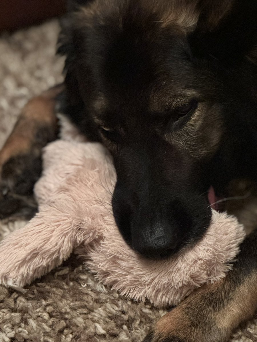 RPDBelle's tweet image. Night night everyone x