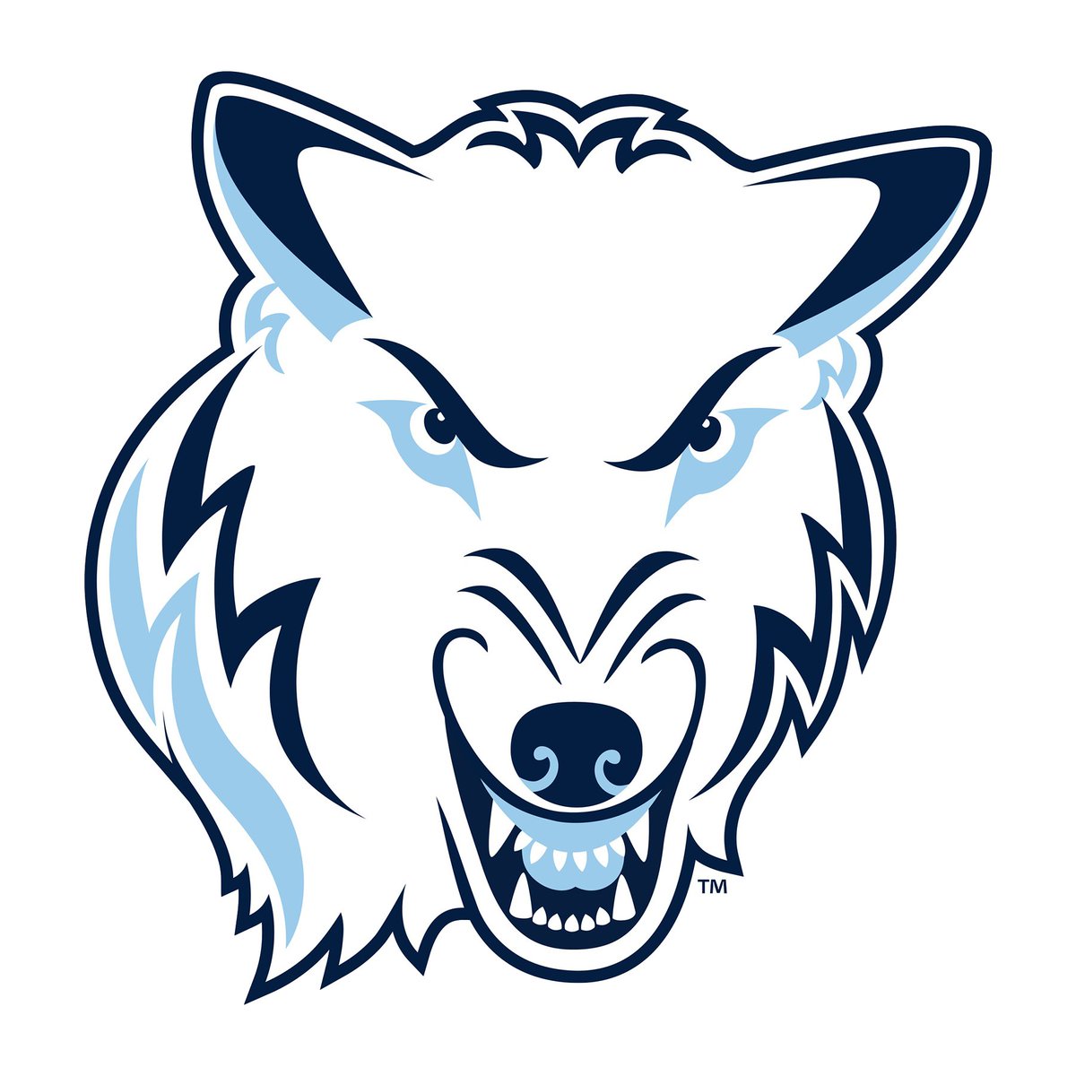 CoachBullinger's tweet image. Cya in Grand Rapids this Saturday!

#RollTimbys