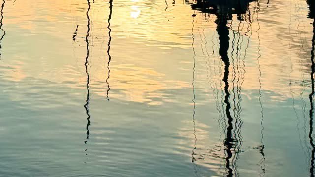 JulianLennon's tweet image. Walkabout…
After hosting some dear friends for a week, during which I caught a bit of a head/chest cold, I’m finally taking steps outside again, for a lil sunshine & air.
Feeling better already…
Thankful 🙏🏻
