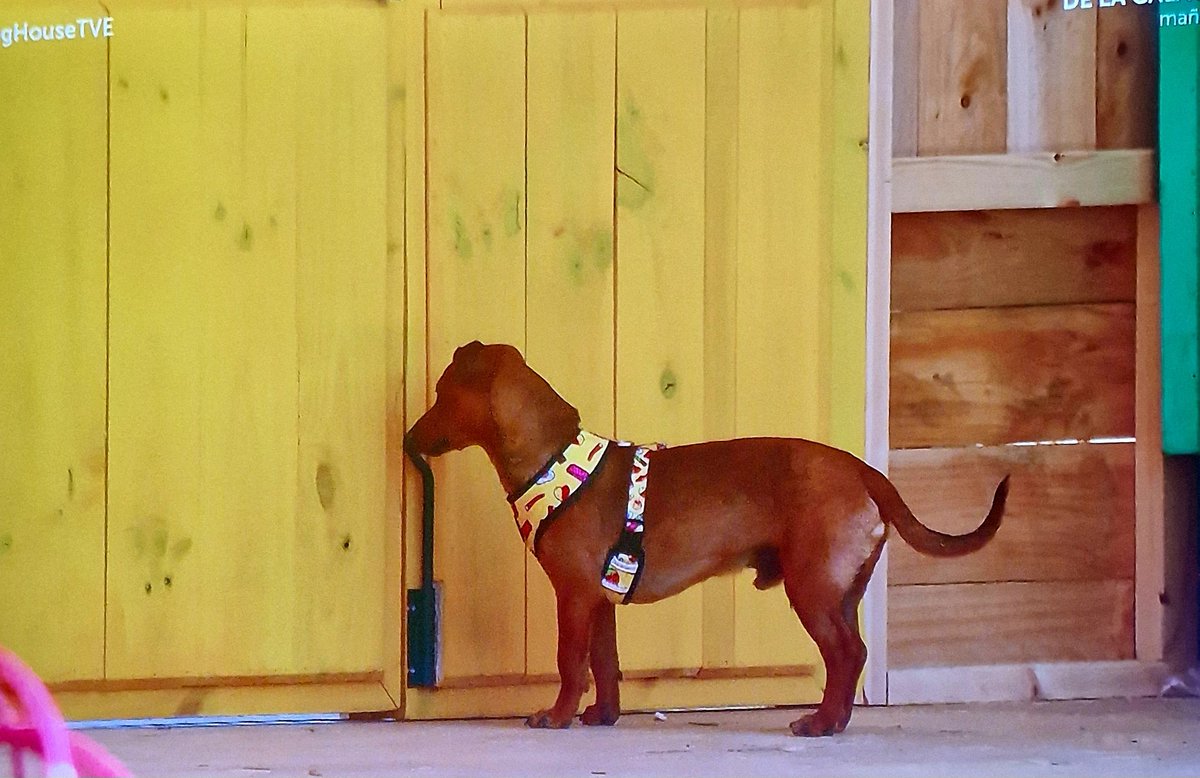 Al Mal Tiempo tweet media