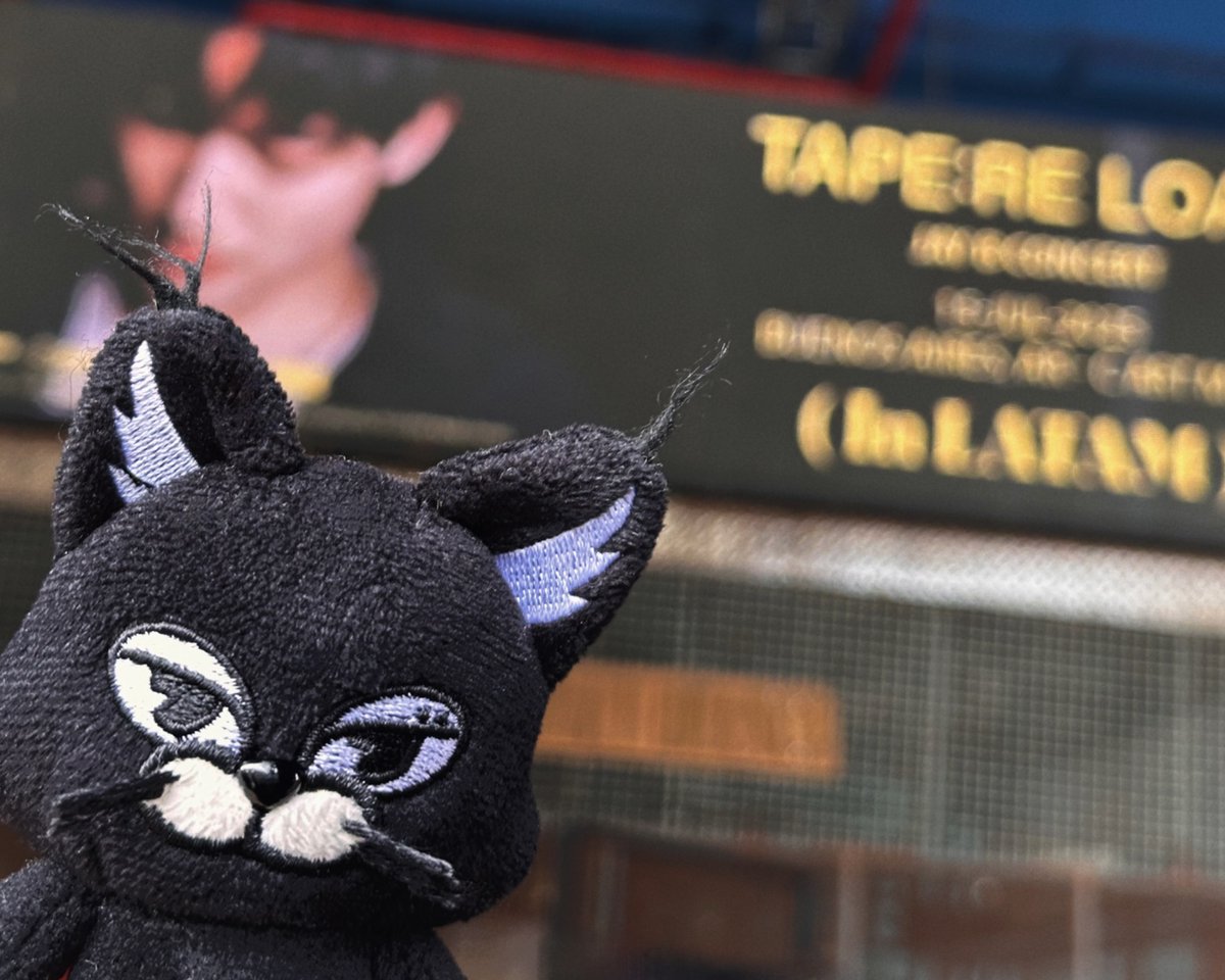 모브컴퍼니 (mauve company) tweet media