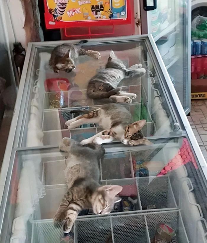 It's Kinda Hot In Turkey..