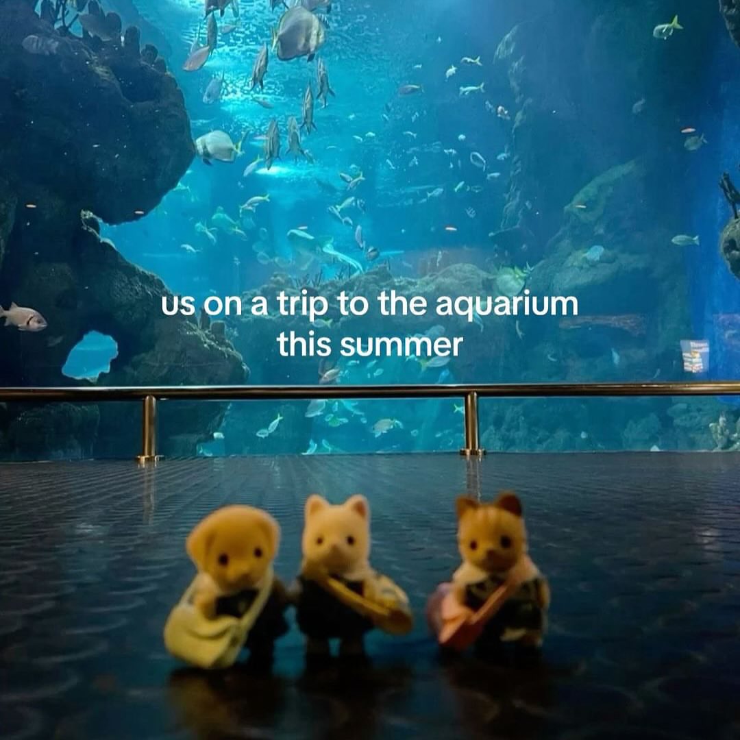 ♡ (@softheavens) on Twitter photo 