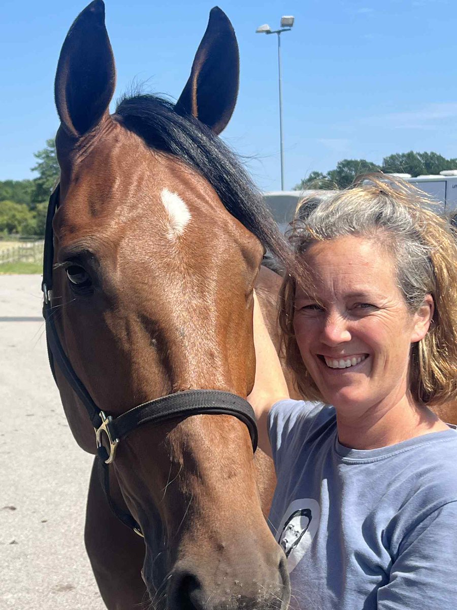 😍Funny Money😍
e Readly Express-Jolly Broline 
#stallfredrikpersson #trav #häst #travhäst