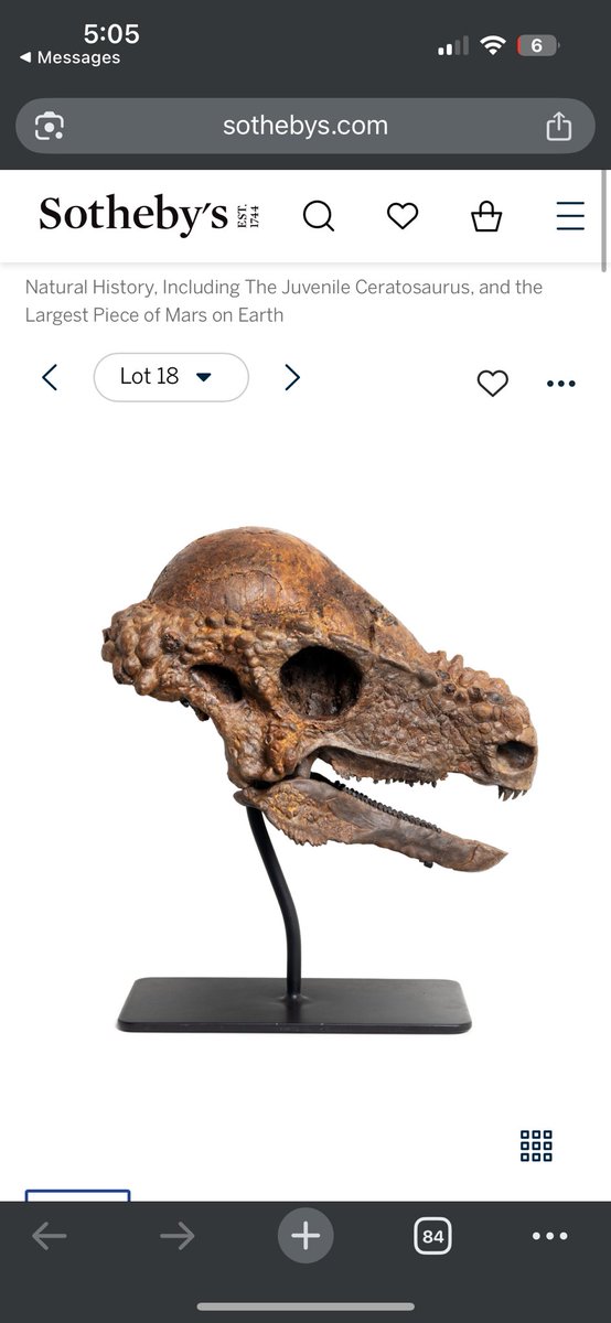 This is the type of loot I’m gonna be buying when I’m worth zillions 🤣