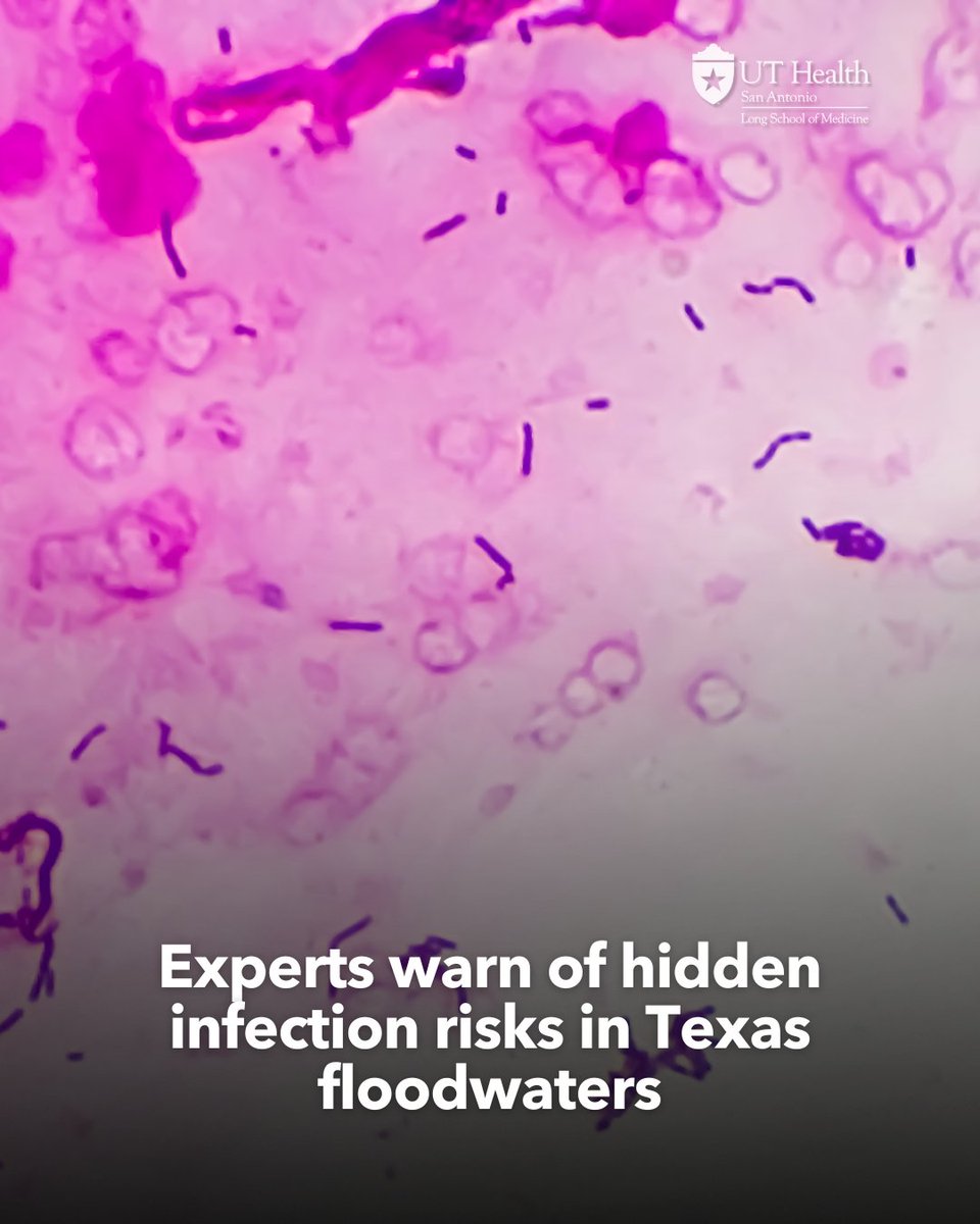 TheLongSOM's tweet image. Hill Country flood survivors and responders face hidden dangers from contaminated water. Full story from @KSATNews: bit.ly/44Pnj5Y