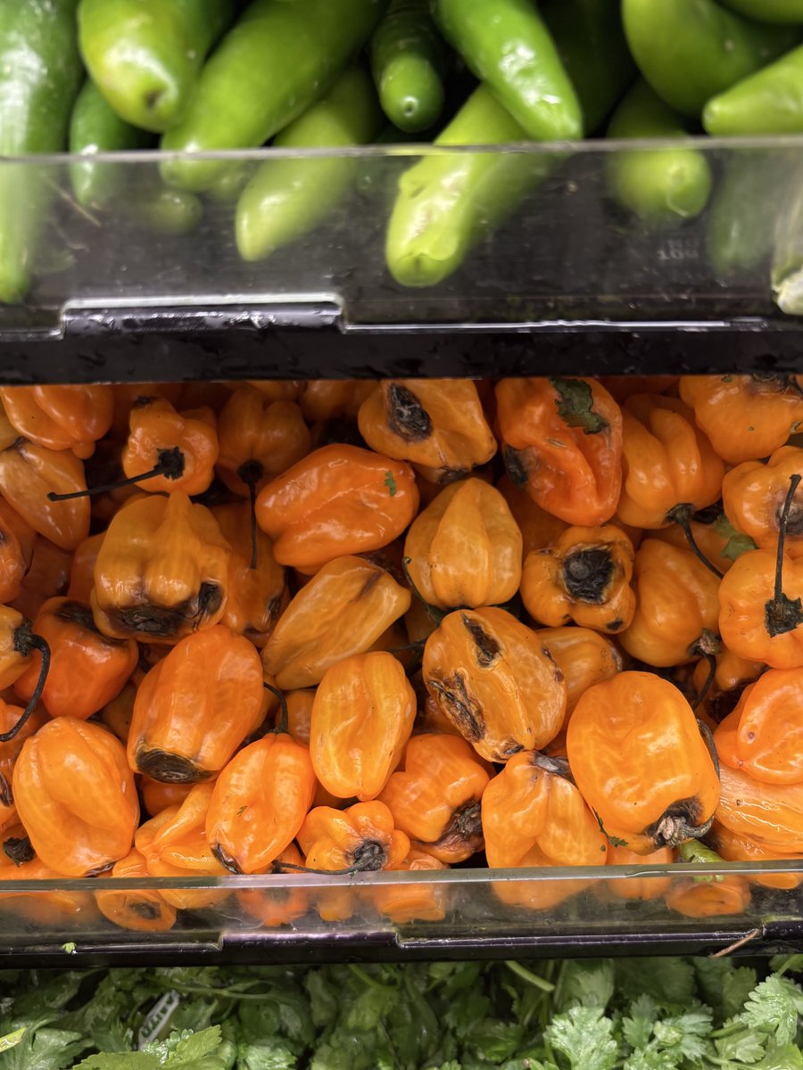 Stacy Lambe tweet media