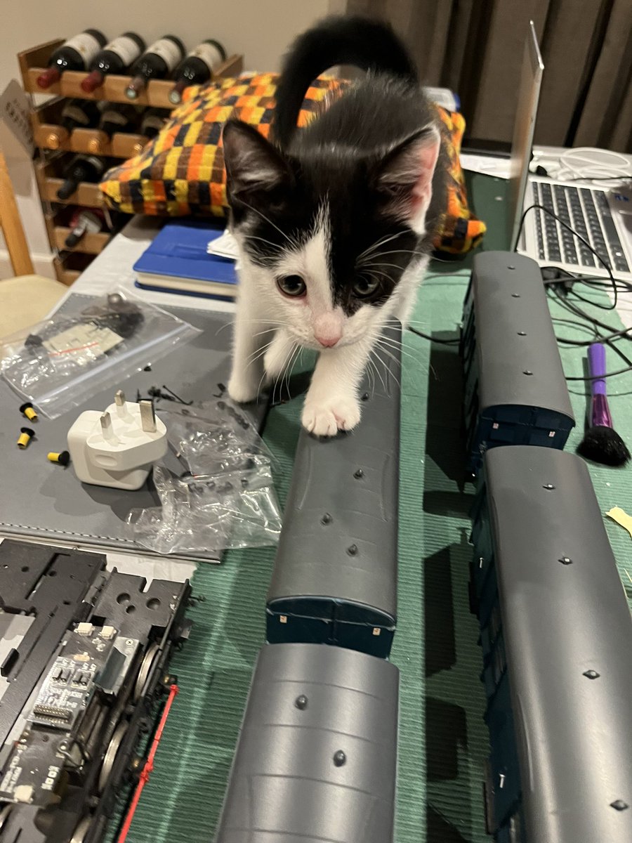 The next train departing from platform 3 is the Jeff Express. Mind the gap! #catsoftwitter