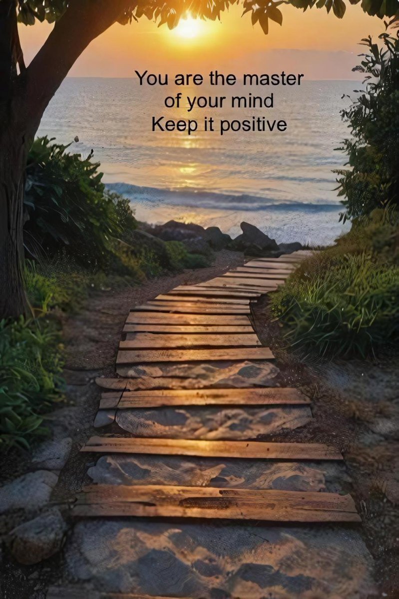 Good morning.