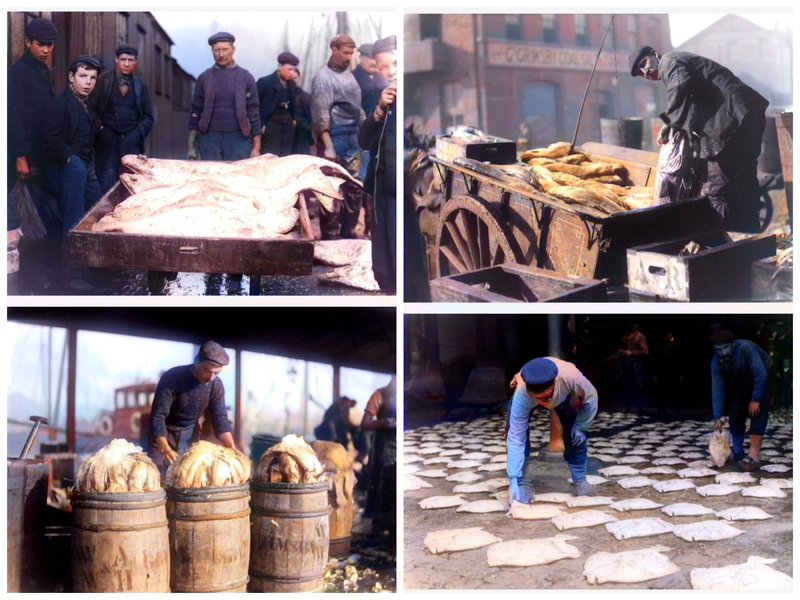 Marco Lawless 🐟🐟🐟 (@gyhistoryclub) on Twitter photo 