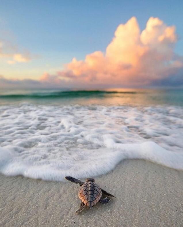 Sol ☼ (@solithra) on Twitter photo 