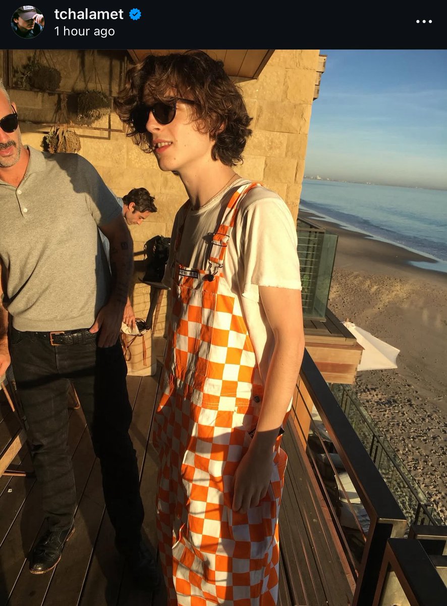 BarstoolTenn's tweet image. Timothee Chalamet rocking the Tennessee Checkerboard overalls🗣️🍊