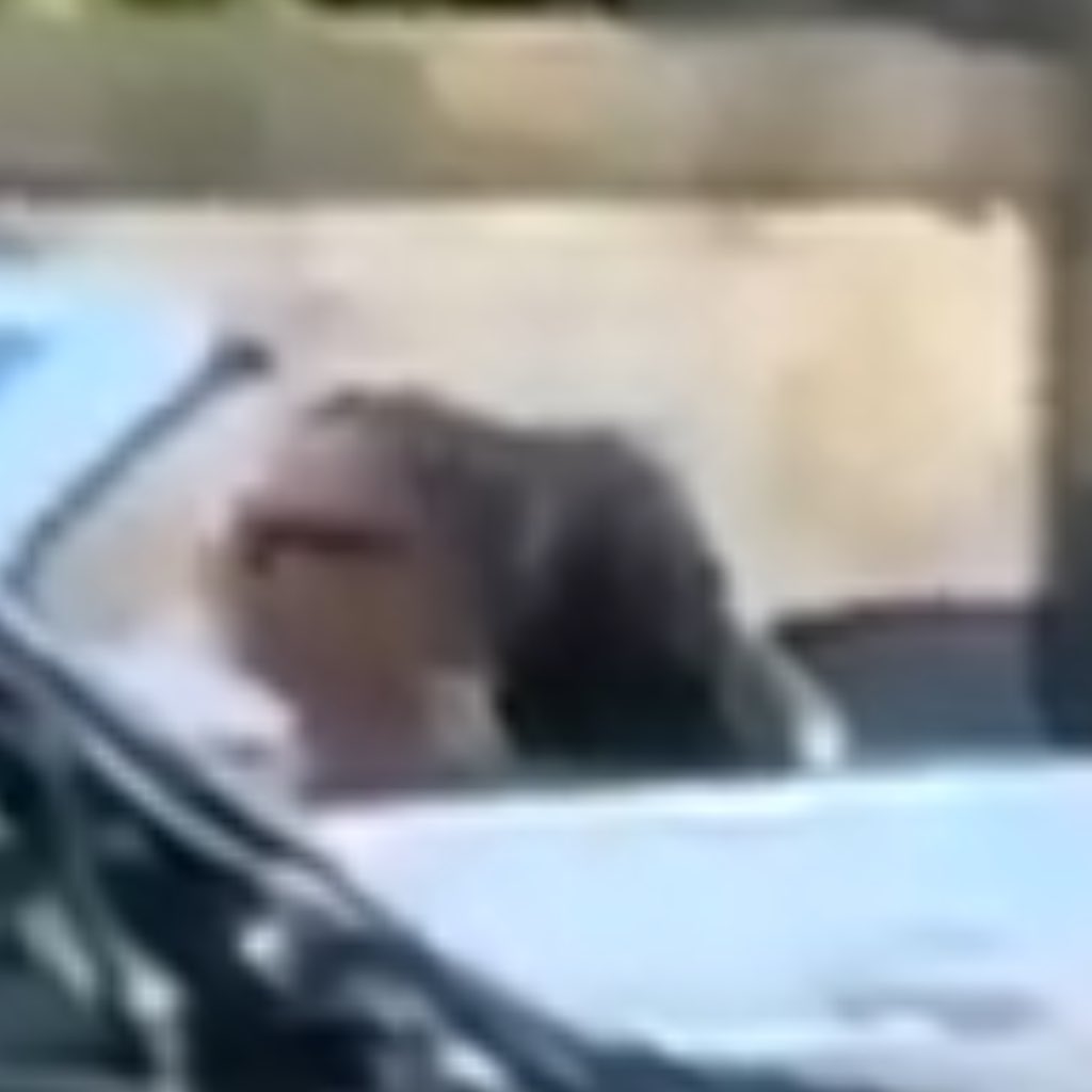 rafe you look so good