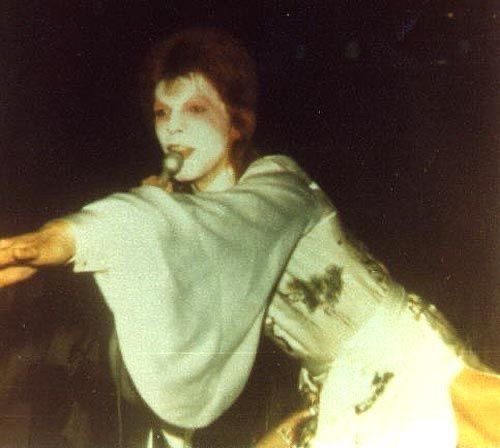 daily david bowie tweet media