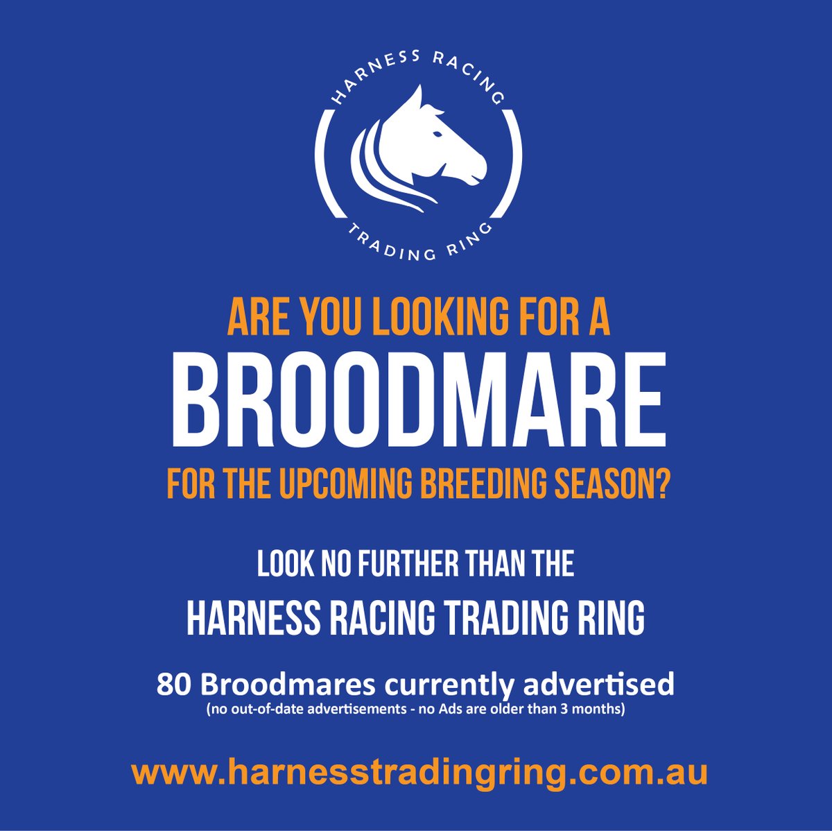 TradingRing's tweet image. Visit the Harness Racing Trading Ring website today ... more than 80 broodmares are currently advertised for sale and lease throughout Australia 

harnesstradingring.com.au

#harnessracing #australia #standardbreds #horseracing #broodmares #harnesstradingring