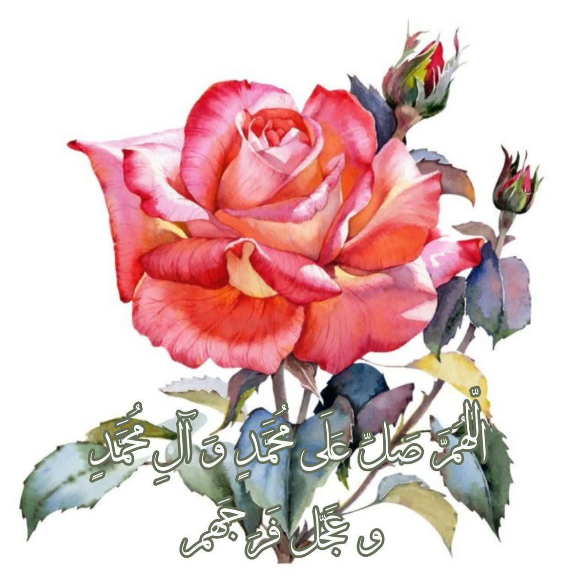 behzad19mah's tweet image. 🌹صلوات پیوندی عمیق با ظهور امام مهدی عجل الله تعالی فرجه الشریف دارد و یکی از راههای تقویت ارتباط قلبی با امام زمان و تعجیل در فرج آن حضرت است.
اللهم عجل لولیک الفرج🌹