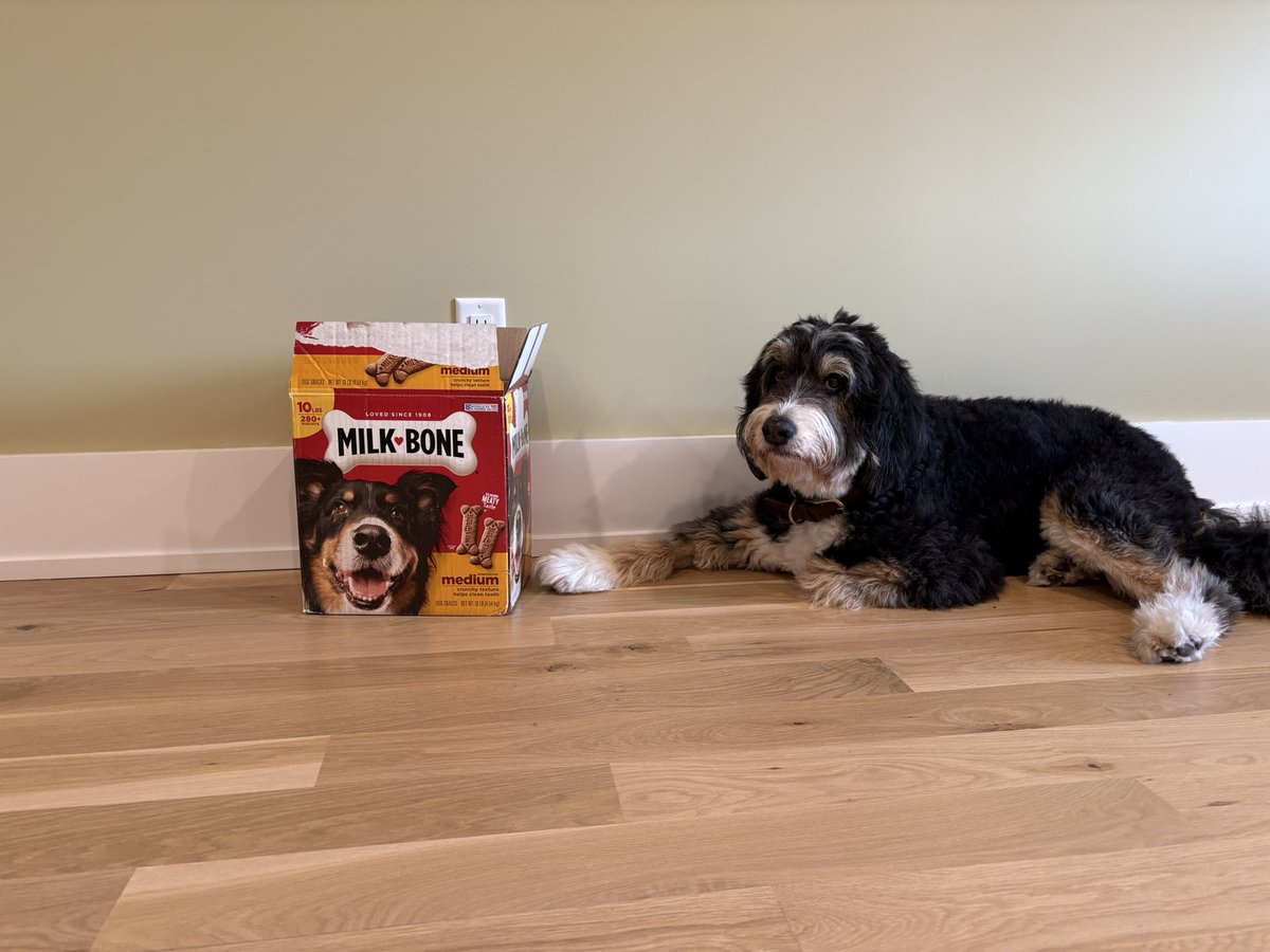 He did it. 

After eight months, our editor in chief Walter finished a whole ten pounds of milk bones 🦴 

While his editing skills kinda suck, and he frequently forgets to gross margin adjust his CAC Payback period, the man really knows how to put a dent in an industrial sized