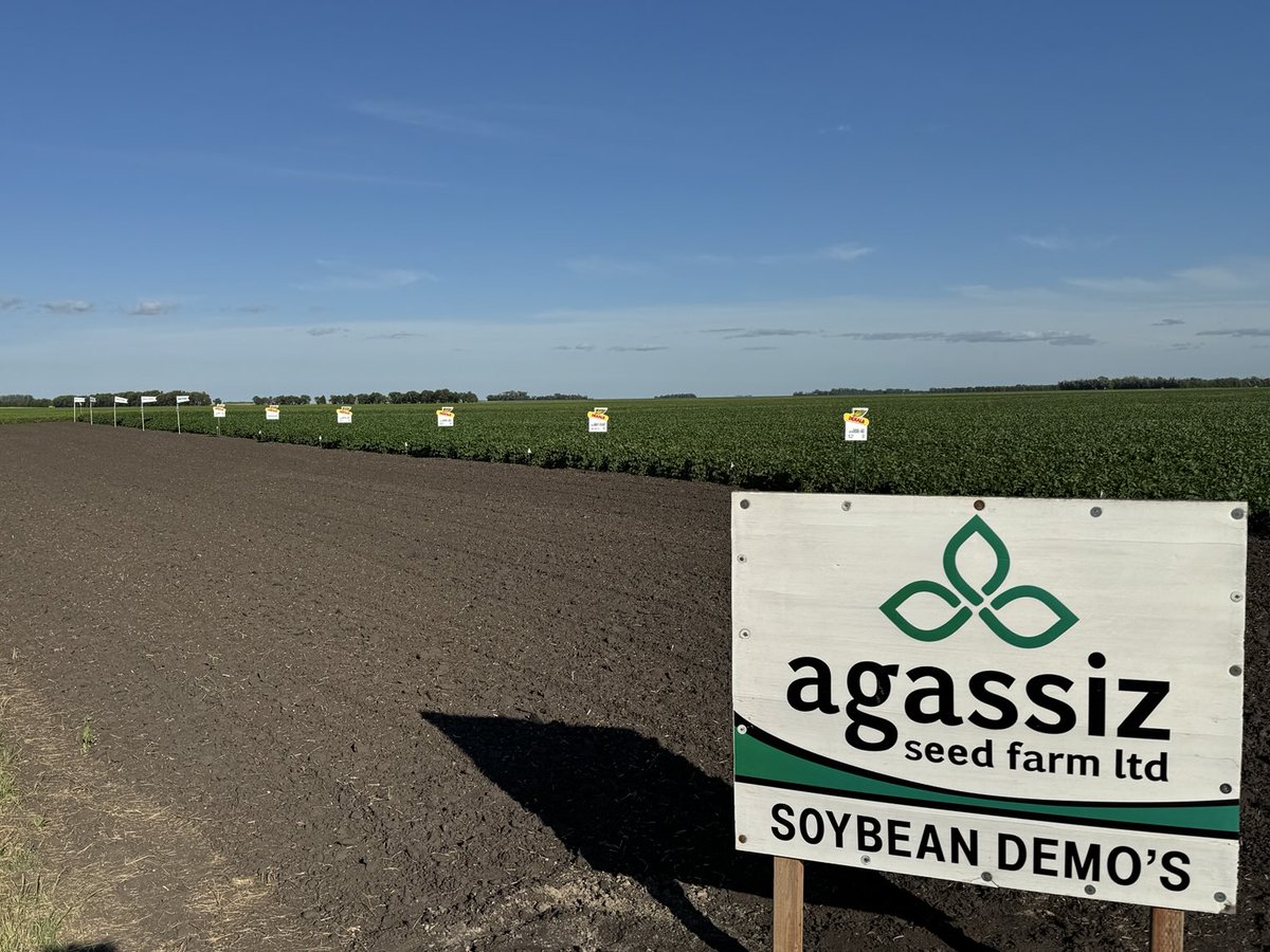 agassizmur1's tweet image. Our demo plots looking in fine form for our annual @AgassizSeedFarm customer appreciation day tomorrow (wed). Showcasing the latest corn & soy varieties from @DEKALB_Canada & @NSGeneticsCA.
Wheat & oats will be discussed as well. See u there!