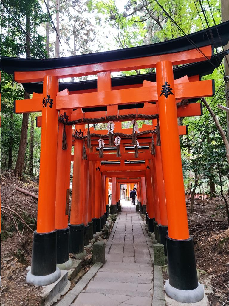 For the first time ever I made a Reel on Instagram! It's a little clip of the beautiful Torii at Fushimi Inari-Taisha ⛩️ 🦊
Since I have lots of little clips I'm planning on sharing them on my Instagram 📸 🇯🇵 ♥️ 
                    instagram.com/reel/DMJJ6e8Io…