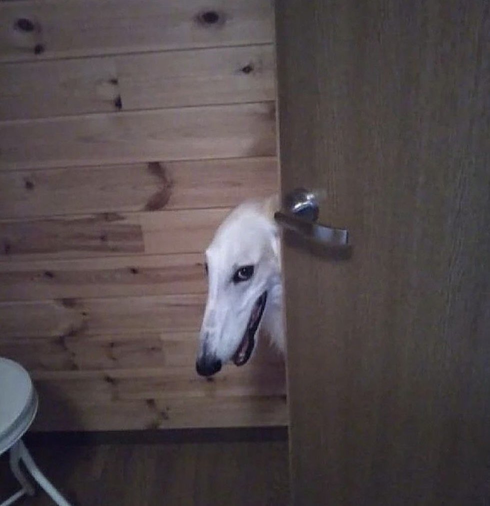 Don't come back here with your bullshit.

Me, coming back with my bullshit: