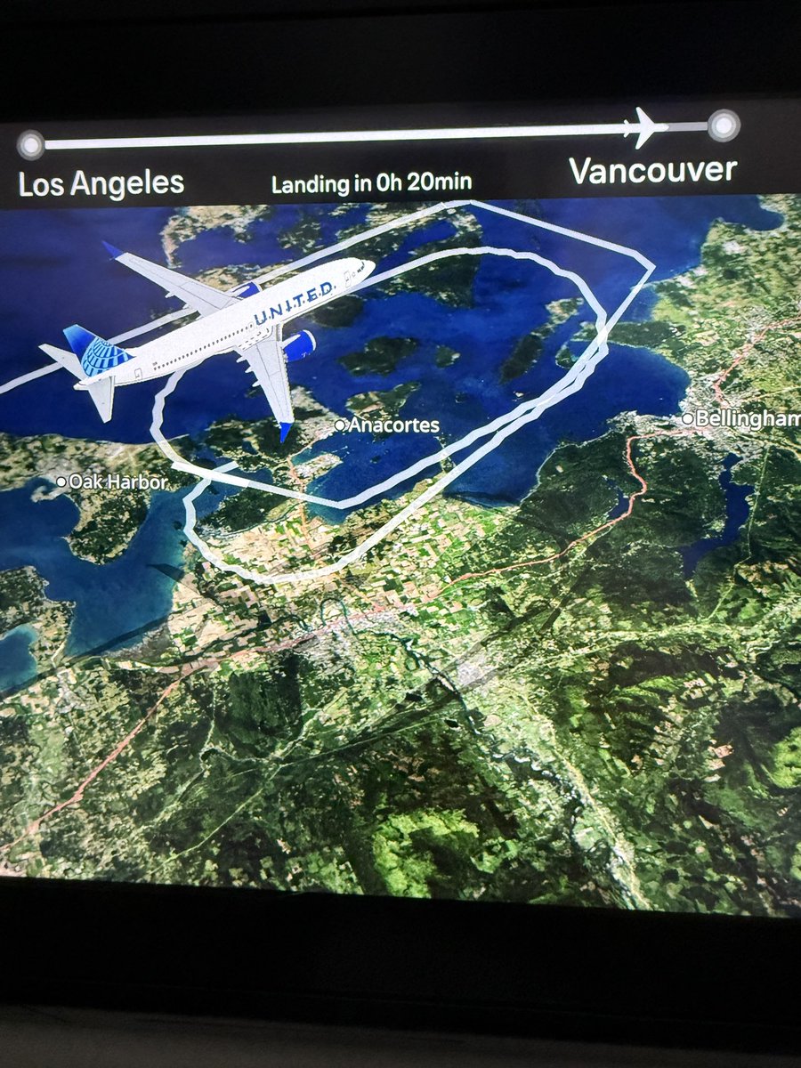 Travioliyooo tweet media