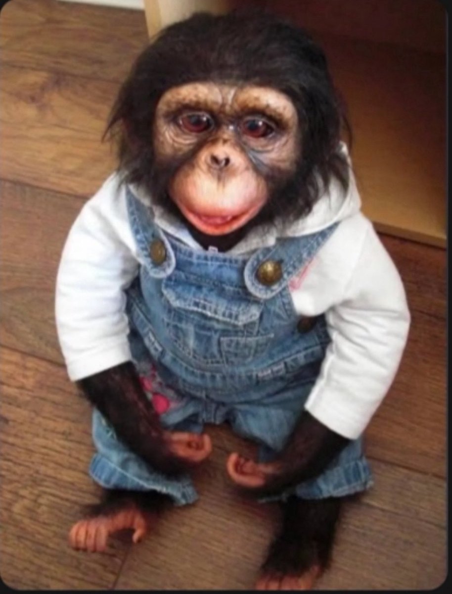 sometimes the roundtrip isn’t even about profit.

sometimes you ride it all the way up, and all the way back down

just to prove a point. to show the doubters. the community. the timeline.

that you meant it. that you were never just exit liquidity, you were the believer.