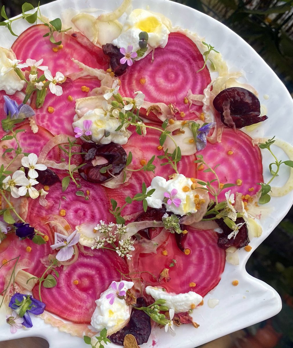 crystallisedfig's tweet image. Chiogga beet and cherry carpaccio with fennel and goat cheese