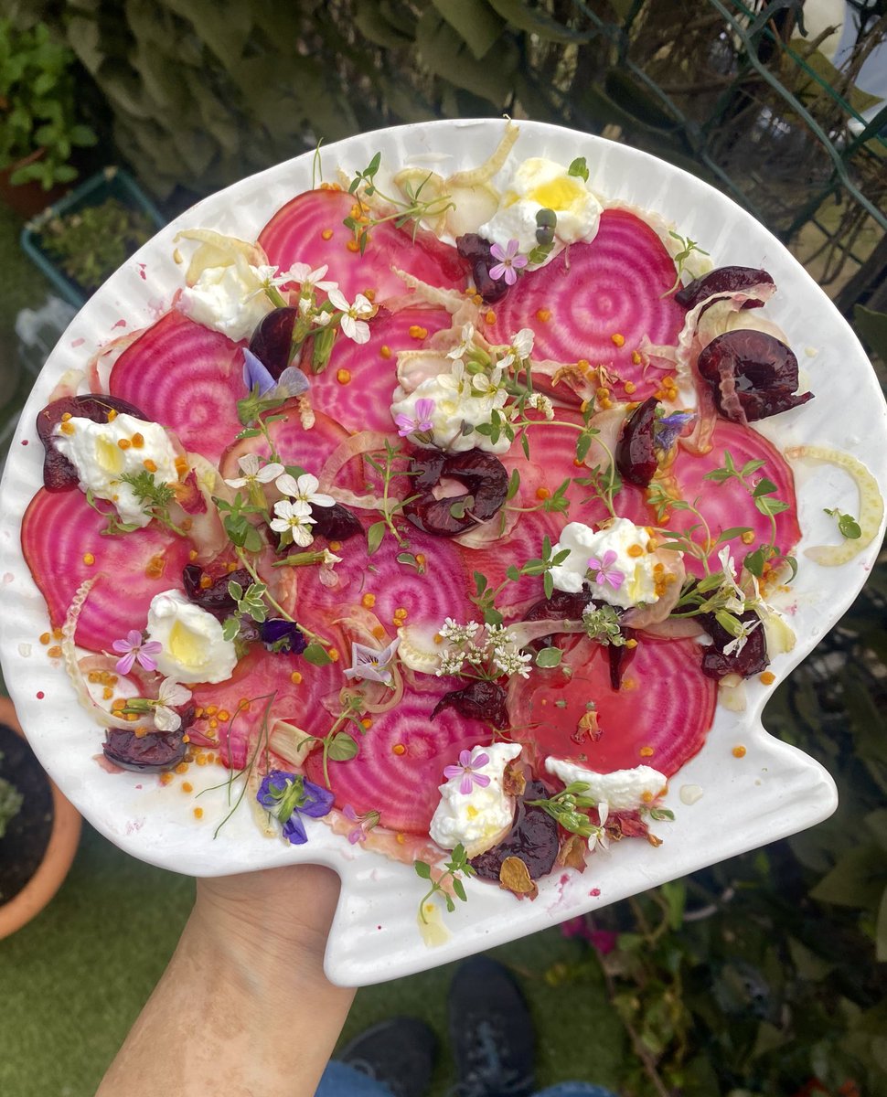 crystallisedfig's tweet image. Chiogga beet and cherry carpaccio with fennel and goat cheese