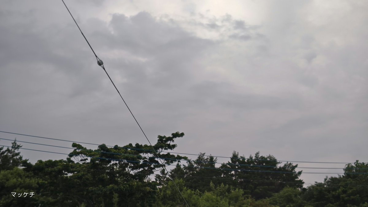 makomofu5170's tweet image. おはようございます
今朝も曇り空で雨は降っていません
もう少ししたら雨が降ってくる予報です
蒸し暑いので
こまめに水分塩分補給と休憩しながら
無理なく乗り切ります
母親の手術が成功したので
ひとまずはホッとしました
今日も宜しくお願い致します
良い一日をお過ごし下さい🎵