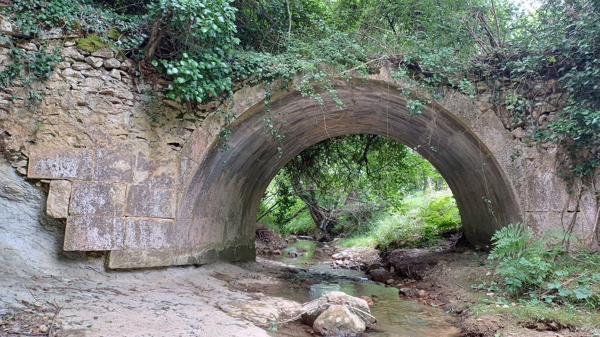 Aquí, un puente bien chulo; resiliente.