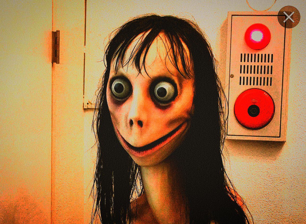 бывшая крипер (@leqddv) on Twitter photo 