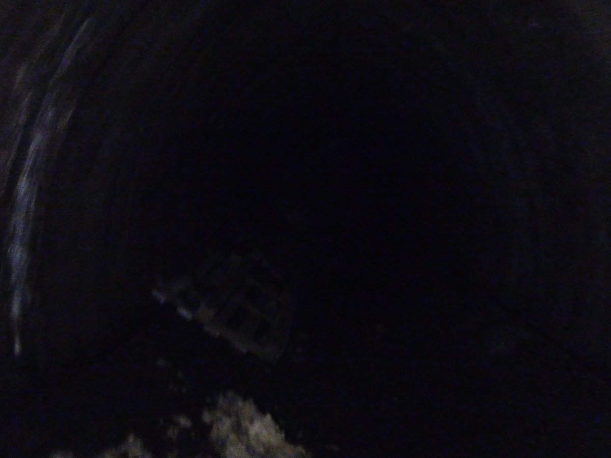 half__watt's tweet image. 