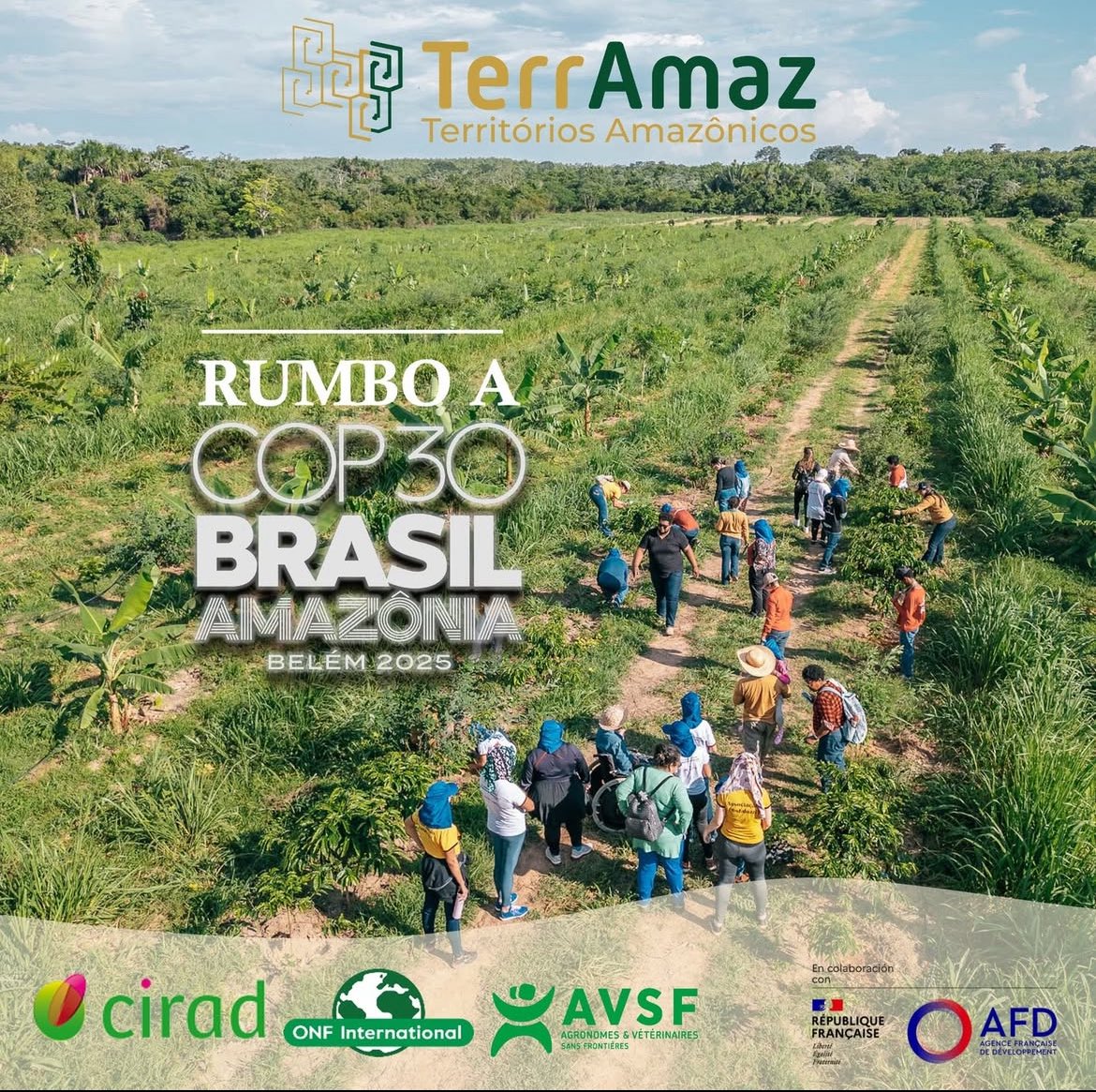 TerrAmaz tweet media