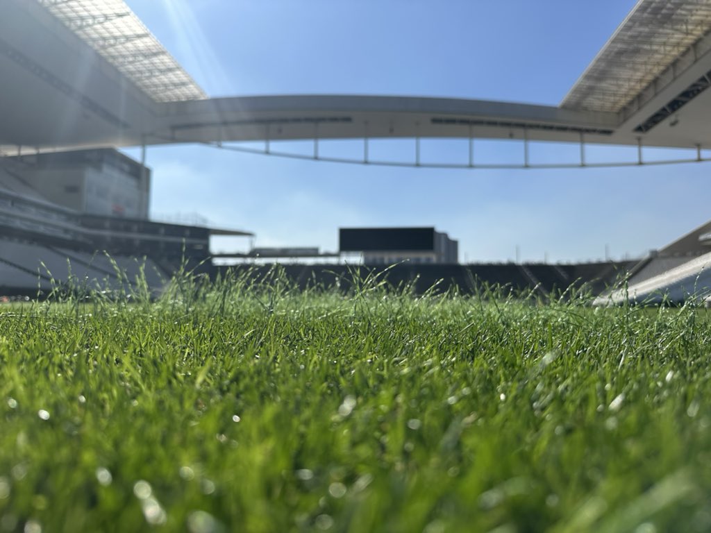 NPappas23's tweet image. Great weather as “winter” work continues here @NeoQuimicaArena in São Paulo. Hard to believe we are already &lt;2 months away from another @NFLBrasil game! #FromTheField