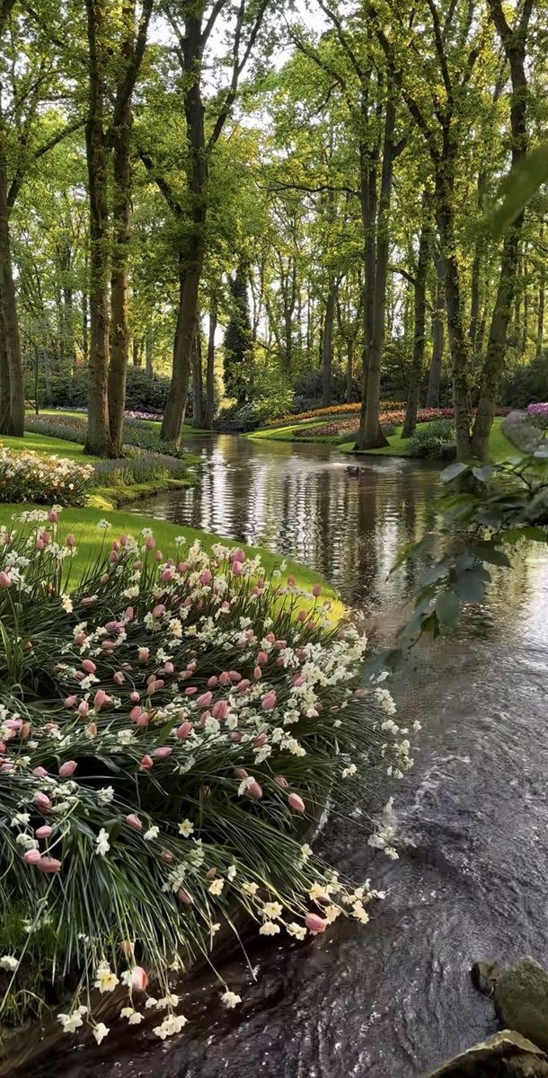 ᅠ ᅠ (@greendreaams) on Twitter photo 