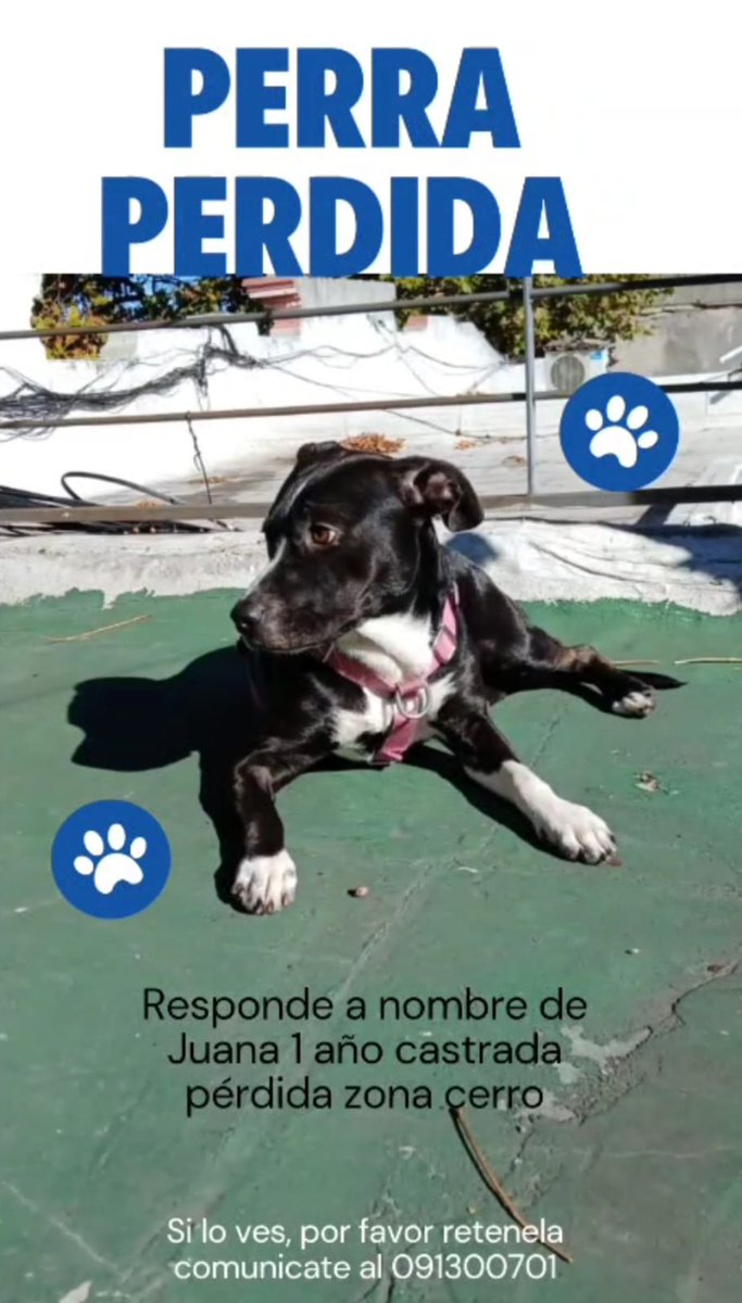 Rafa Cotelo (@rafacotelo) on Twitter photo 