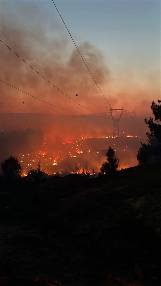 kuzeyormanlari's tweet photo. Cehennem gibi yandığımız gecenin simge fotoğraflarından biri.

Sırf kamulaştırma bedeli ödemeye gerek olmadığı yani “bedava” olduğu ve hatta “boş” olduğu için eneri üretim sahası ve nakil hattına çevrilmiş Kuzey Ormanları. 

Dünyanın hiçbir ülkesinde ormanın içine her an yangın çıkarabilecek bir düzenek kuramazsınız ama Kuzey Ormanları’nı rüzgar potansiyeli yüksek ve bedava diye RES tarlasına, trafoya çevirebilirsiniz.