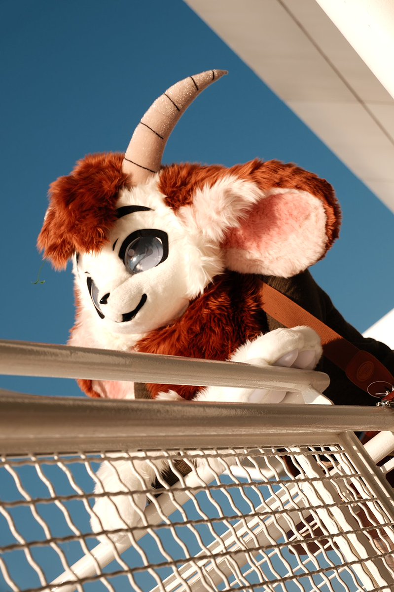Ymmotehl's tweet image. Blue skies? Goated weather.
Photo of: @Adefur__
#Anthrocon2025 #Anthrocon25