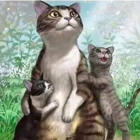 ternuras (@i_misha_i) on Twitter photo 