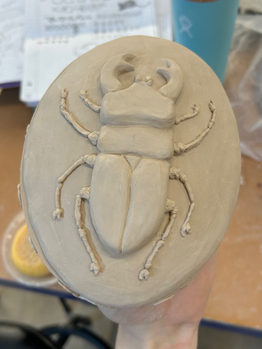 miaushii's tweet image. beetle box 🪲