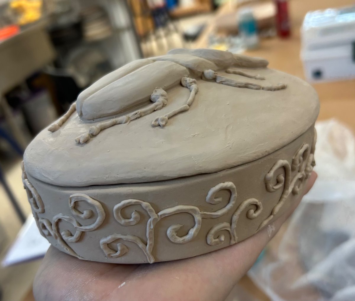 miaushii's tweet image. beetle box 🪲