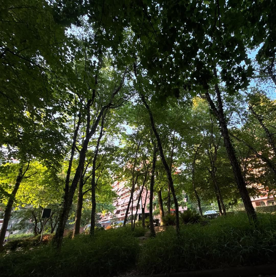 justinbieber's tweet image. 