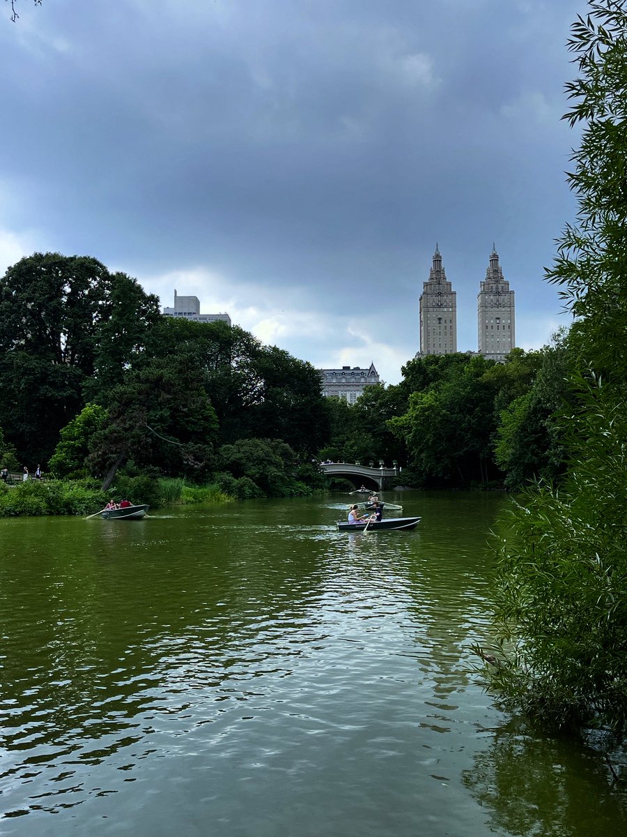 Après-midi à Central Park.