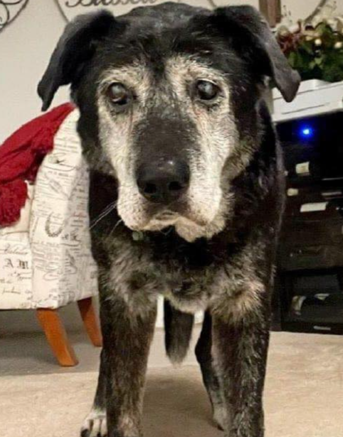 Send some love to this old man.🎂