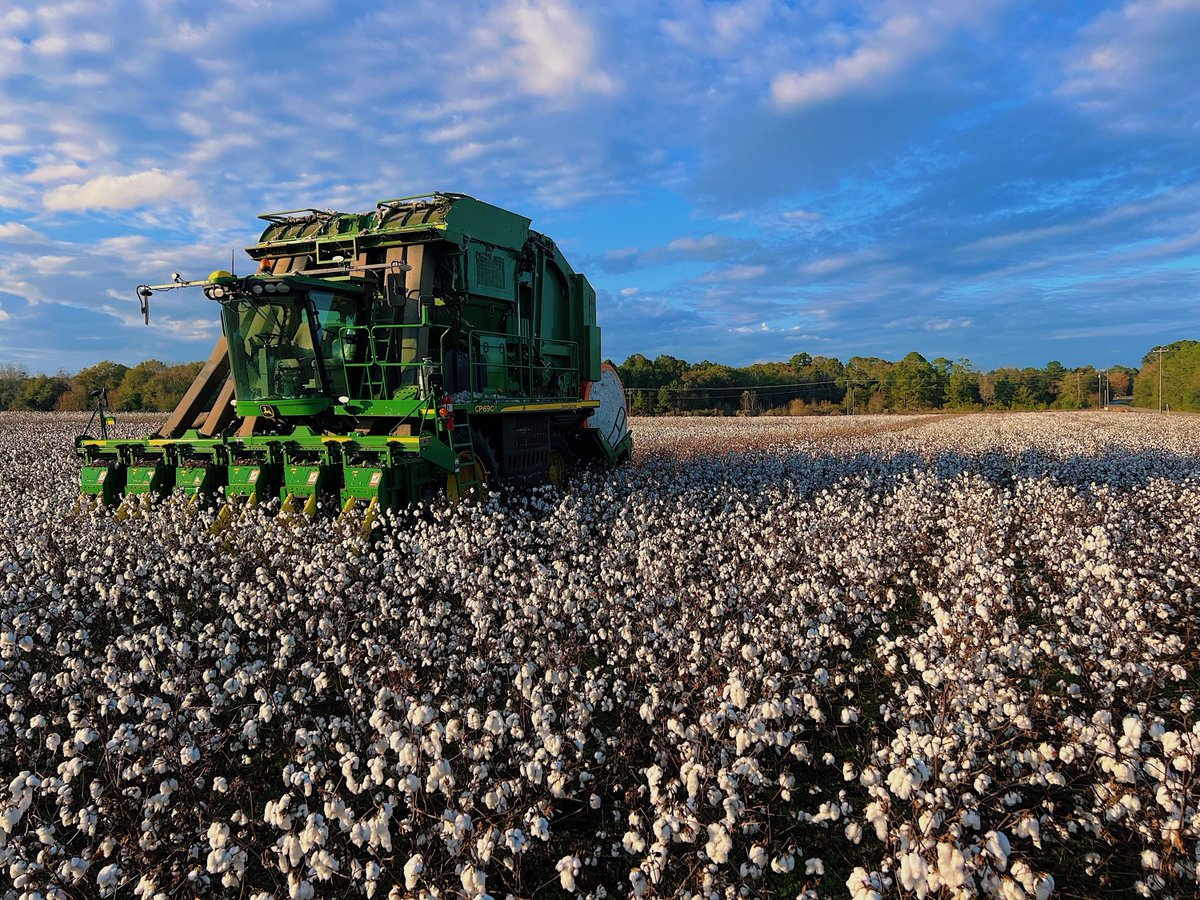 We’re excited to reveal the top 3 Photo Contest Winners - each capturing the beauty and heart of rural Georgia:
🥇1st: “Hello Sweet Baby”– Kim Little, Franklin Co.
🥈2nd: “Clearing Skies in Hay Season”– Scott Kuhn, Murray Co.
🥉3rd: “Busting Bales”– Seth Tillman, Brooks Co.