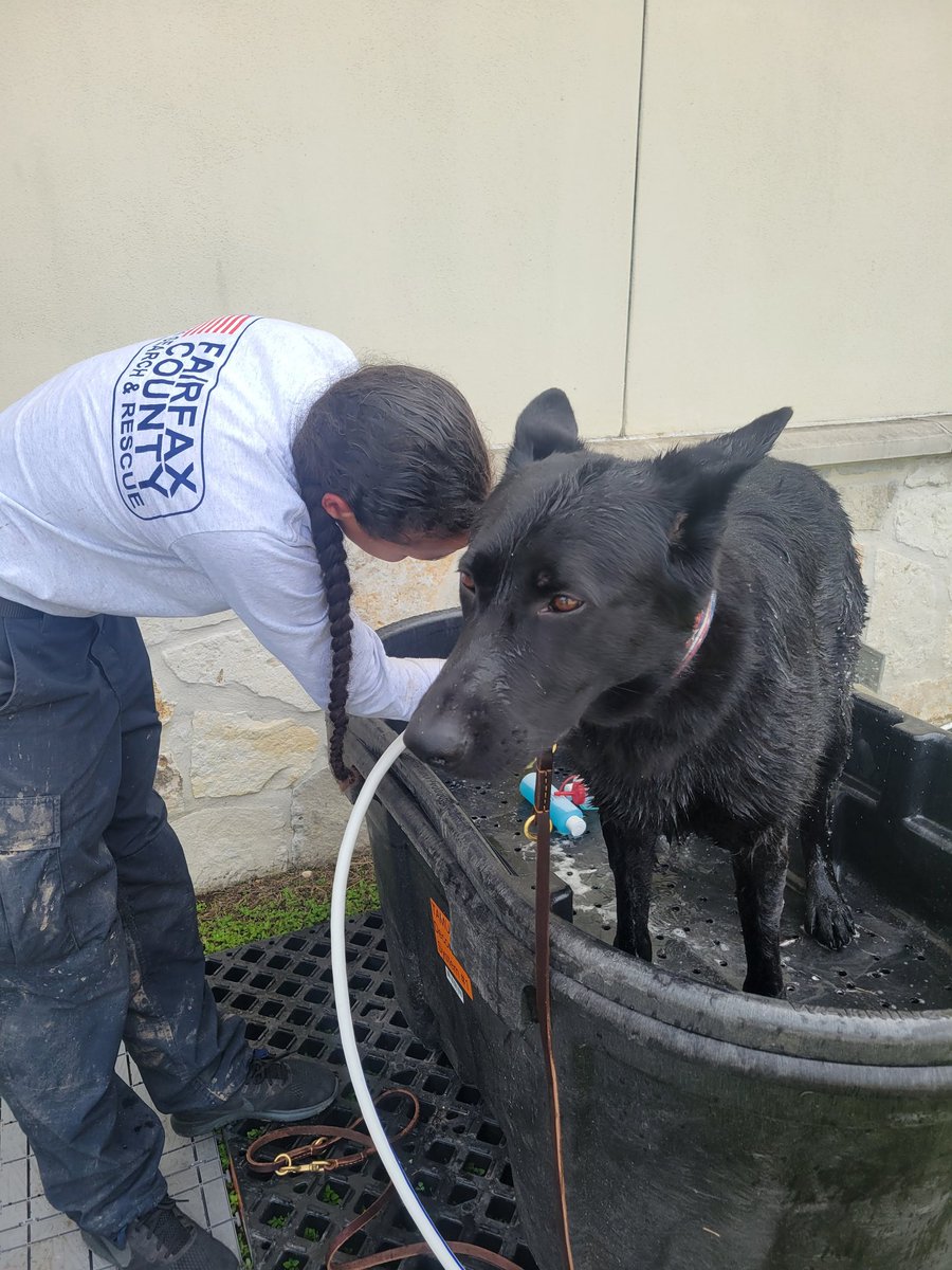 VATF1's tweet image. Our search canines supporting the response to the Texas floods continue to work diligently in their assigned area. Each day they get a quick med check by a veterinarian and a well-deserved bath.
@fema @ffxfirerescue