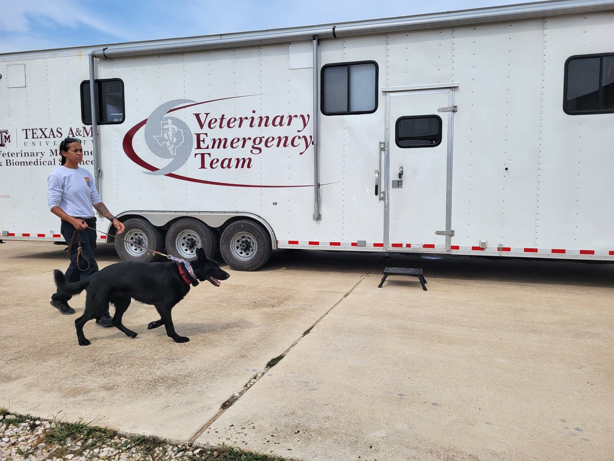 VATF1's tweet image. Our search canines supporting the response to the Texas floods continue to work diligently in their assigned area. Each day they get a quick med check by a veterinarian and a well-deserved bath.
@fema @ffxfirerescue