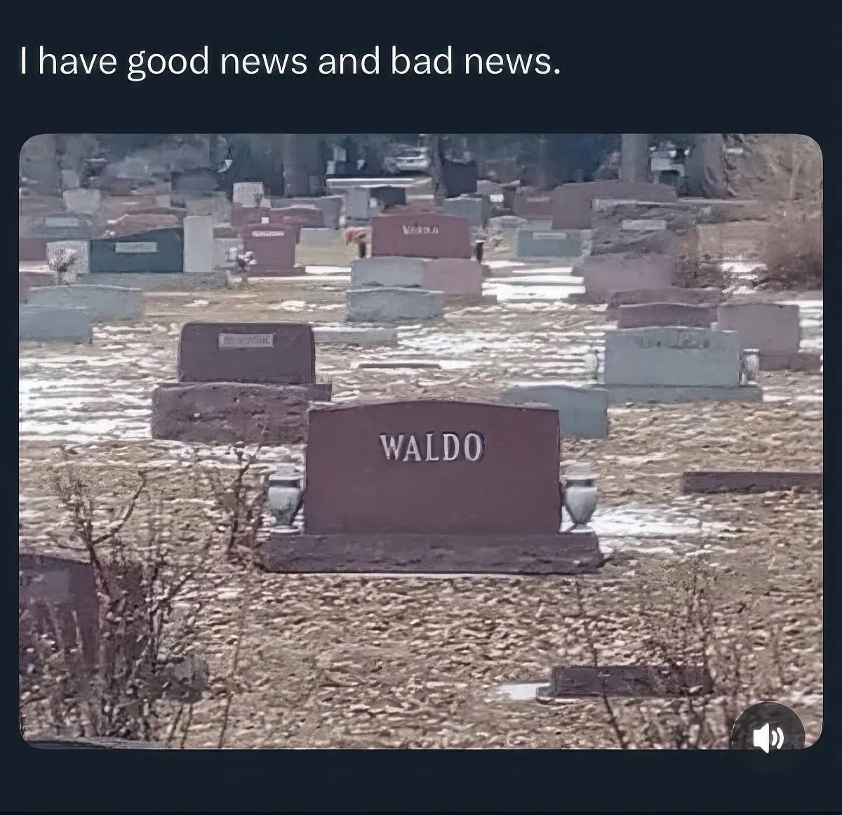 Tweet media one